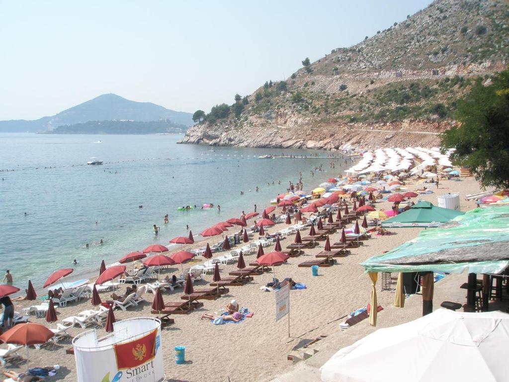 Apartman Dragovic *