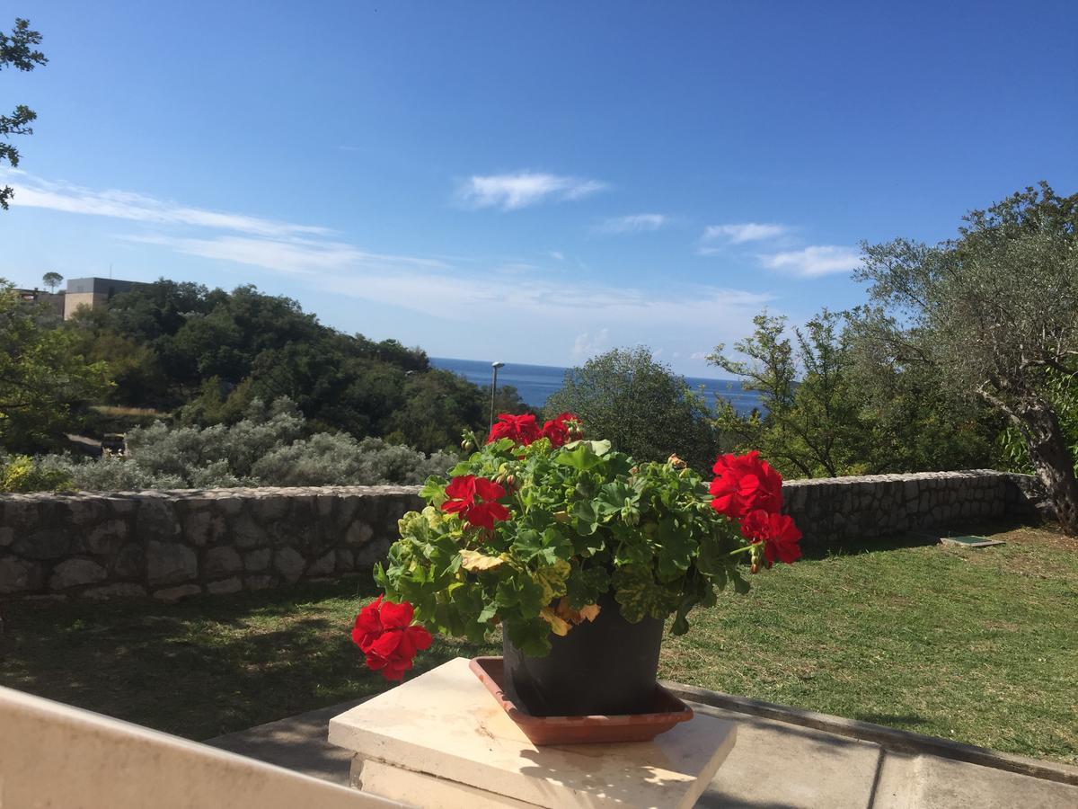 Dragovic Sveti Stefan